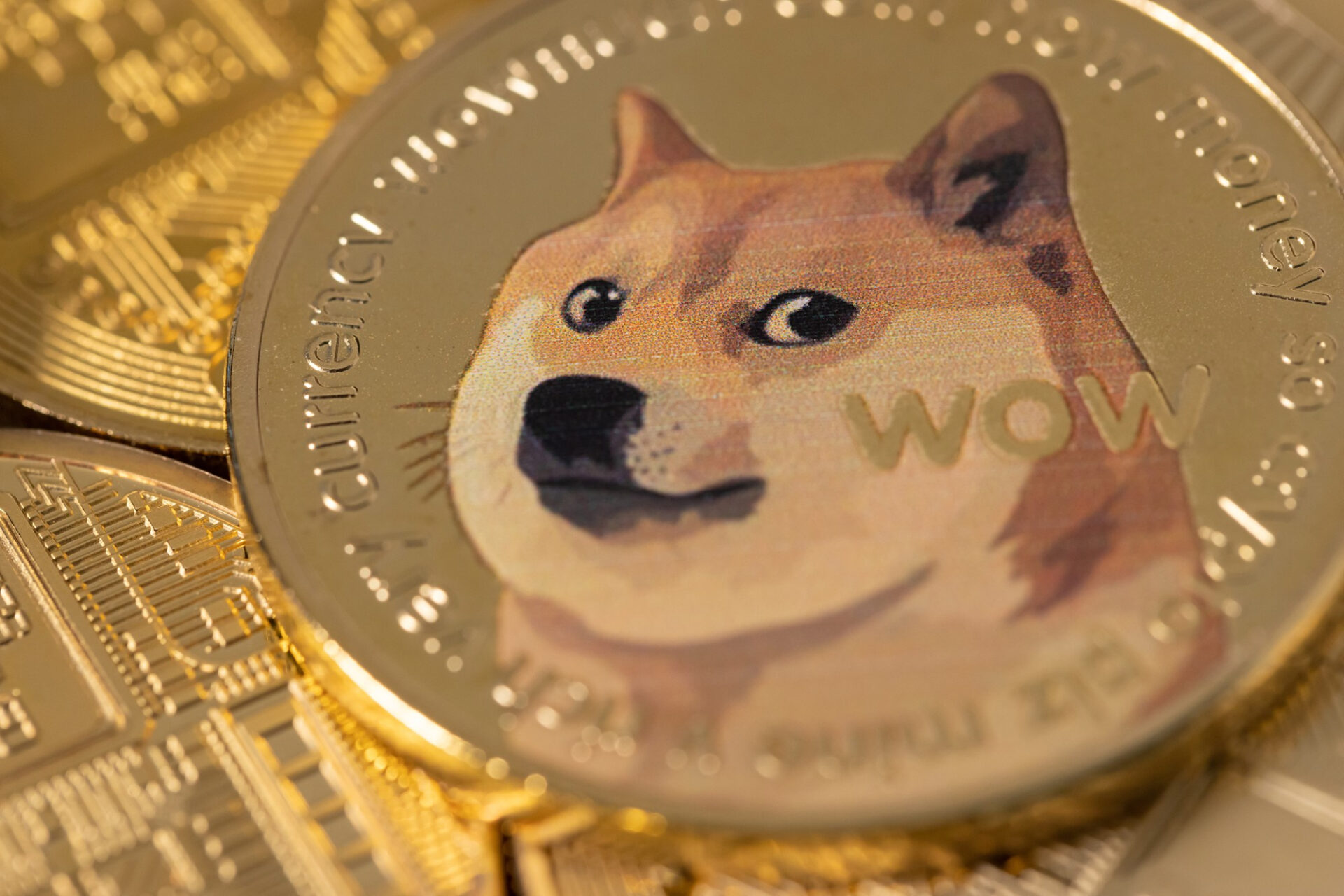 Kurs Dogecoin (DOGE) - Forex.pl